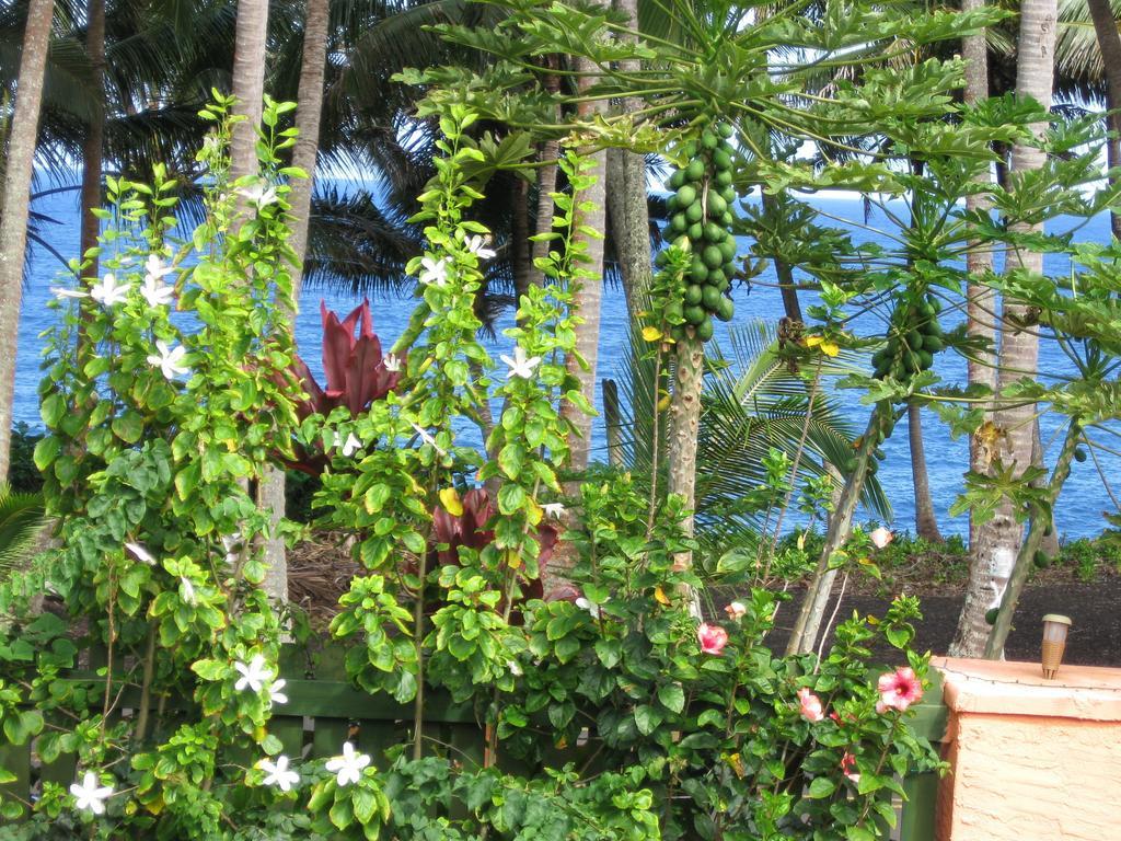 Oceanfront Cottage Near The Kalapana Lava Flows Kehena Zimmer foto