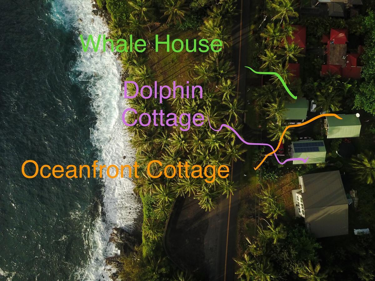 Oceanfront Cottage Near The Kalapana Lava Flows Kehena Exterior foto